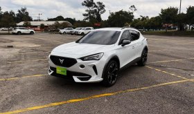 CUPRA FORMENTOR2.0TTP 2000CC T CT TC