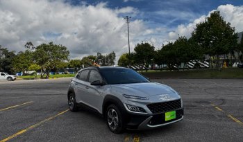 CAMIONETA PASAJ. lleno