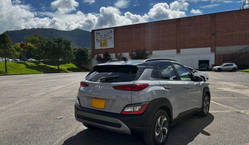 CAMIONETA PASAJ. lleno