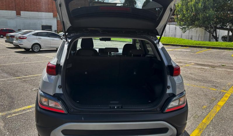 CAMIONETA PASAJ. lleno